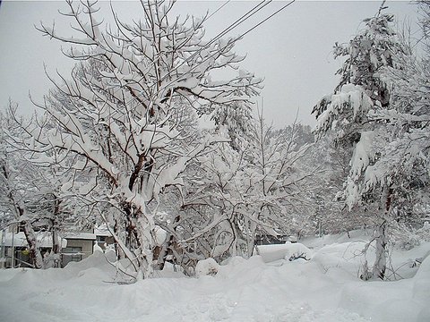 SCF0085.jpg