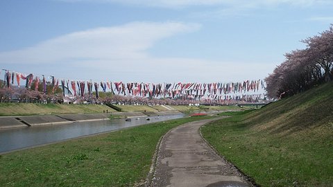 SCF4160.jpg