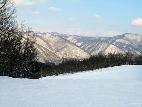 SCN0456.jpg