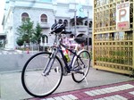 licca03.jpg
