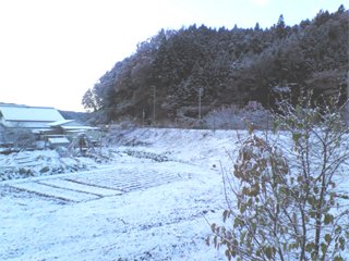 yuki0811.jpg